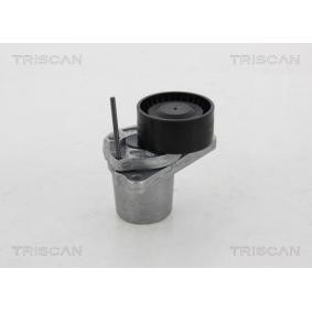Spannrolle, Keilrippenriemen 8641 251018 von TRISCAN günstig für 150,16 € online kaufen