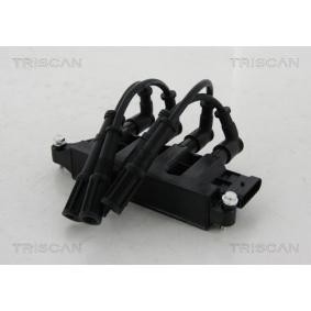 Zündspule 8860 15023 von TRISCAN günstig für 130,60 € online kaufen