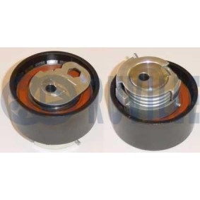 Acquista Rivestimento della guida, Catena distribuzione da RUVILLE 3450016 a buon mercato per soli 10,41 €