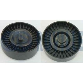 Spannschiene, Steuerkette 3484037 von RUVILLE günstig für 23,64 € online kaufen