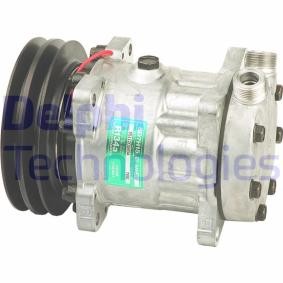 Achetez des Compresseur de climatisation DELPHI TSP0155020 à prix pour 523,03 €