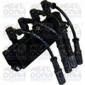 Zündspule für FORD von MEAT & DORIA