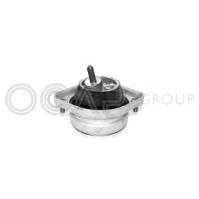 Acquista Supporto motore da OCAP 1225128 a buon mercato per soli 38,09 €