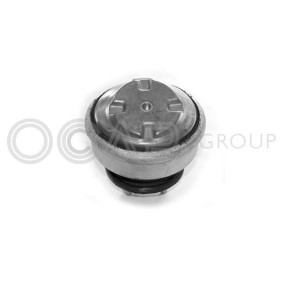 Motorlager 1225300 von OCAP günstig für 43,90 € online kaufen