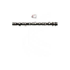 Nockenwelle CP17404 von CAMPRO günstig für 318,84 € online kaufen