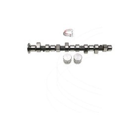 Nockenwellensatz CP61917 von CAMPRO günstig für 679,42 € online kaufen