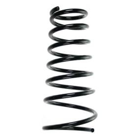 Fahrwerksfeder 55510 von SPIDAN günstig für 64,17 € online kaufen