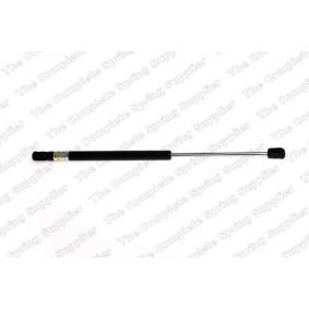 Gasfeder, Heckscheibe 426019 von KILEN günstig für 28,84 € online kaufen