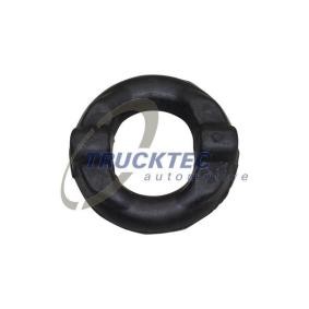 Acquista Anello di ritegno, silenziatore da TRUCKTEC AUTOMOTIVE online per 3 Touring (E36) a prezzi moderati