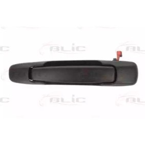 Türgriff 6010-17-008403P SUBARU von BLIC