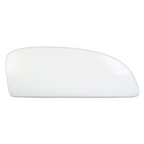 Spiegelglas, Außenspiegel 6102-02-0934P von BLIC günstig für 16,03 € online kaufen