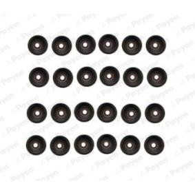 Compre Retenes de válvulas de PAYEN online para 5 Touring (G61) a precios moderados