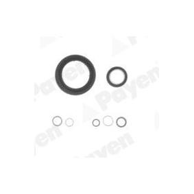 Achetez des Jeu de joints d'etanchéité carter de vilebrequin de chez PAYEN en ligne pour Clio III Van (SB_, SR_) à prix modérés