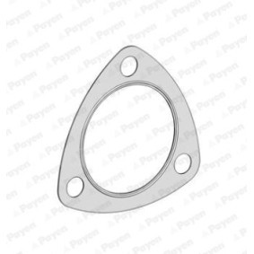 Comprar Junta, tubo de escape de PAYEN JE5066 a bajo precio de 9,87 €