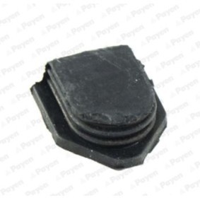 Comprar Tapones, taladro de montaje eje de balancín de PAYEN LV943 a bajo precio de 2,13 €