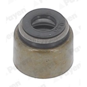 Kurbelwellensimmering NA5066 von PAYEN günstig für 11,58 € online kaufen