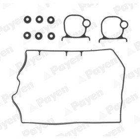 Compre Retentor, cubo da roda de PAYEN online para Vectra A Sedan (J89) a preços moderados