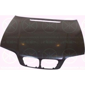 Nebelscheinwerfer 00610293 von KLOKKERHOLM günstig für 63,89 € online kaufen