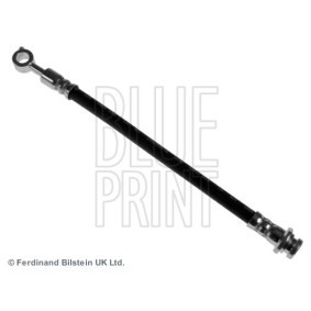 Zahnrad, Nockenwelle ADN16138 von BLUE PRINT günstig für 27,71 € online kaufen