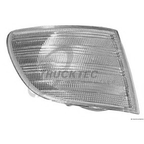 Blinkergehäuse 02.58.098 von TRUCKTEC AUTOMOTIVE günstig für 22,73 € online kaufen