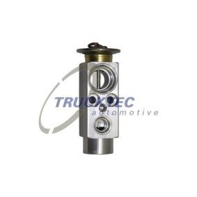 Acquista Valvola espansione climatizzatore da TRUCKTEC AUTOMOTIVE 02.59.004 a buon mercato per soli 18,09 €