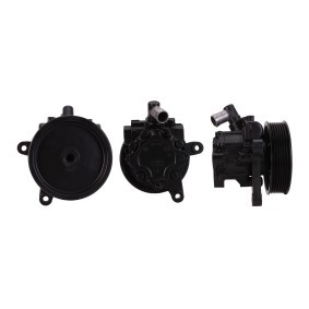 Servopumpe 15-0480 von ELSTOCK günstig für 183,22 € online kaufen