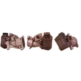 AGR-Ventil 73-0024 von ELSTOCK günstig für 146,61 € online kaufen
