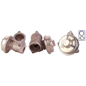 AGR-Ventil 71-0013 von ELSTOCK günstig für 155,11 € online kaufen