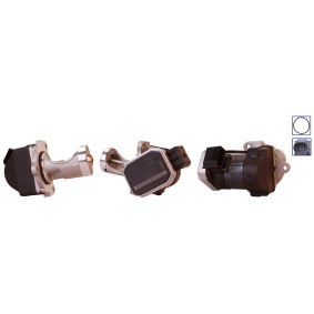 AGR-Ventil 73-0076 von ELSTOCK günstig für 223,46 € online kaufen