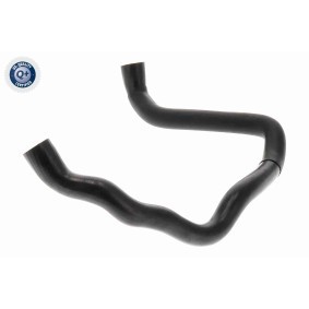 Spannrolle, Keilriemen V45-0075 PORSCHE von VAICO
