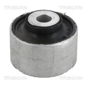 Acquista Supporto braccio oscillante da TRISCAN 8500 298012 a buon mercato per soli 10,52 €