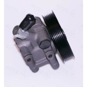 Compre Bomba de direção da AUTEX 863060 a um preço baixo por 333,04 €