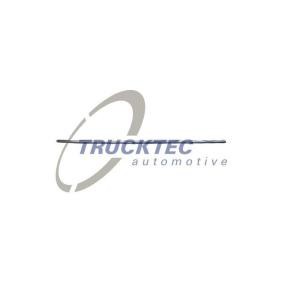 Zier- / Schutzleiste, Kotflügel 02.52.001 MERCEDES-BENZ von TRUCKTEC AUTOMOTIVE