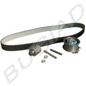 Comprar Kit de correa de distribución de BUGIAD BSP22716 a bajo precio de 213,82 €