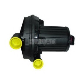 Achetez des Pompe d'injection d'air secondaire BUGIAD BSP24381 à prix pour 244,35 €