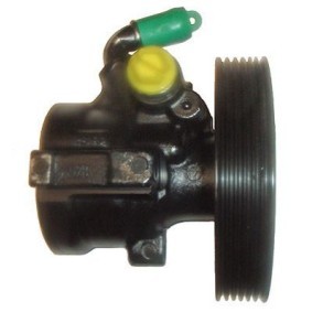 Servopumpe 04.05.0322 von LIZARTE günstig für 135,78 € online kaufen