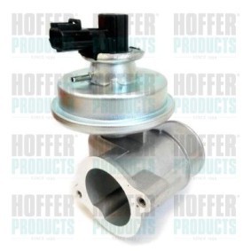 AGR-Ventil 7518541 von HOFFER günstig für 113,92 € online kaufen