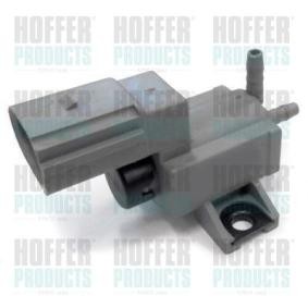 Achetez des Soupape, insufflation d'air secondaire HOFFER 8029369 à prix pour 94,65 €