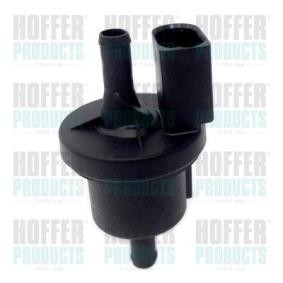 Compre Válvula de ventilação / respiro, depósito de combustível da HOFFER 8029384 a um preço baixo por 61,93 €