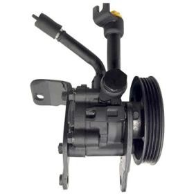 Acquista Pompa idraulica, sterzo da LIZARTE 04.75.0139-1 a buon mercato per soli 354,76 €