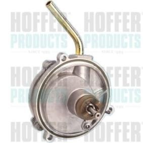 Acquista Pompa tandem da HOFFER online per VANEO (414) a prezzi moderati