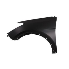 Kotflügel 6504-04-3182311P von BLIC günstig für 47,39 € online kaufen
