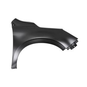 Kotflügel 6504-04-6738312P von BLIC günstig für 44,35 € online kaufen
