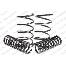 Fahrwerksatz, Federn 4556840 von LESJÖFORS günstig für 216,15 € online kaufen