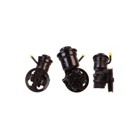 Servopumpe 15-0192 von ELSTOCK günstig für 216,88 € online kaufen
