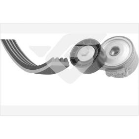 Comprar Juego de correas trapeciales poli V de HUTCHINSON KHV 185 a bajo precio de 62,32 €