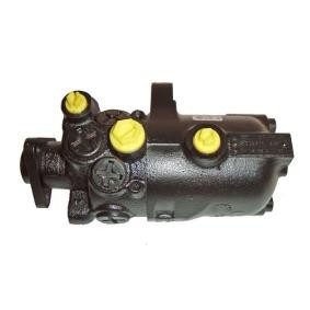 Achetez des Pompe de direction assistée LIZARTE 04.18.0110 à prix pour 307,66 €