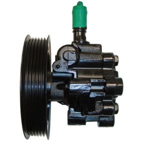 Compre Bomba de direção de LIZARTE online para XJ Sedan (X300, X330) a preços moderados