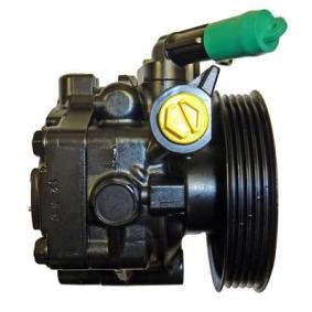 Achetez des Pompe de direction assistée de chez LIZARTE en ligne pour IMPREZA 3/5 portes (GR, GH, G3) à prix modérés