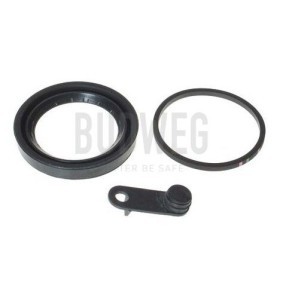 Dichtung, Bremssattelkolben 184350 von BUDWEG CALIPER günstig für 10,33 € online kaufen